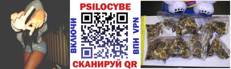 hydra ссылки  Калининск  Галлюциногенные грибы мицелий 